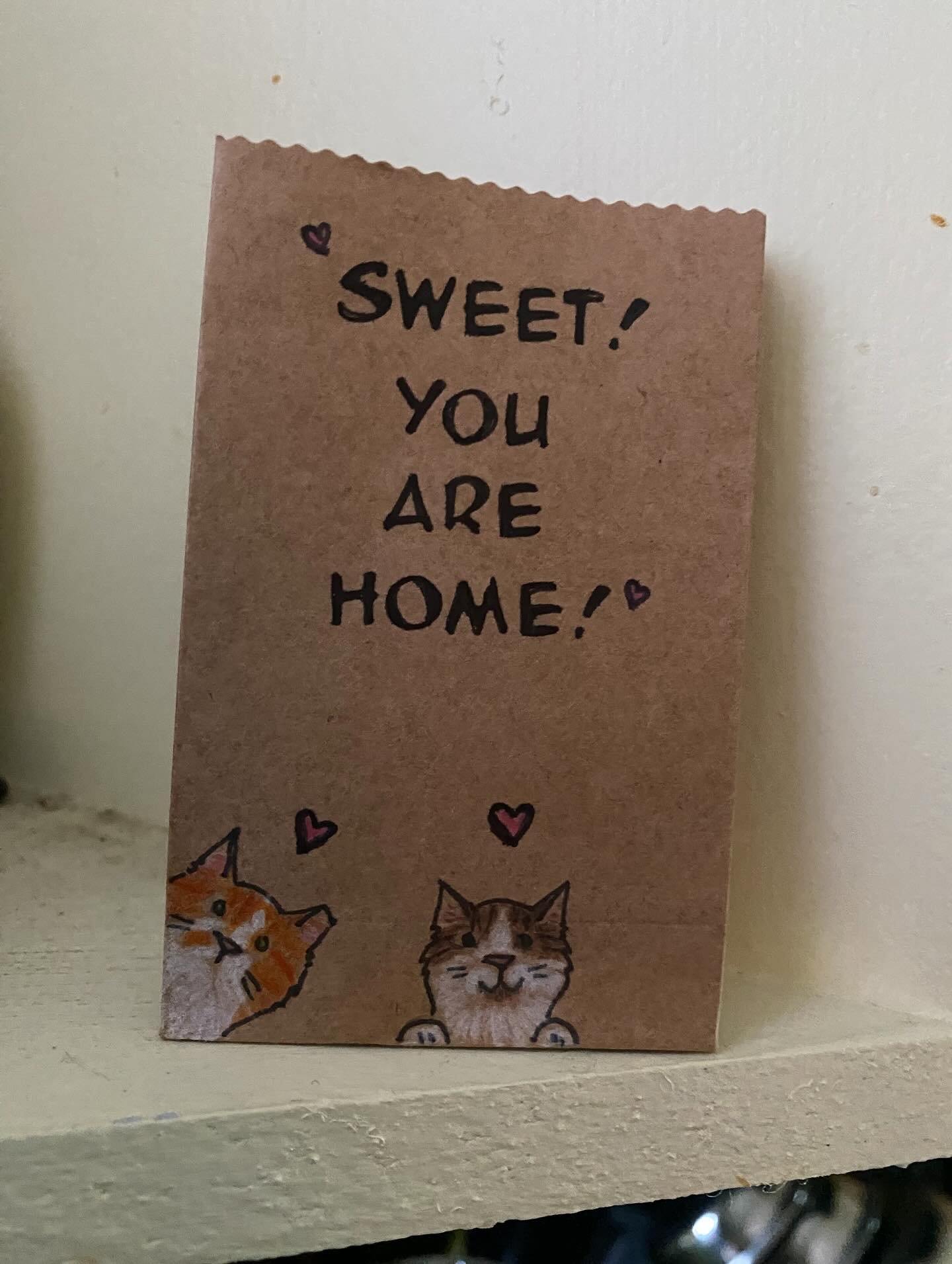 These two cuties have their Mom home again!  I know they&rsquo;ll be over the moon but I&rsquo;ve been happy to be Substitute Mommy these last 2 week! #catdoodles #catsitting #hamiltonontario #hamiltonishome #treats #welcomehome
