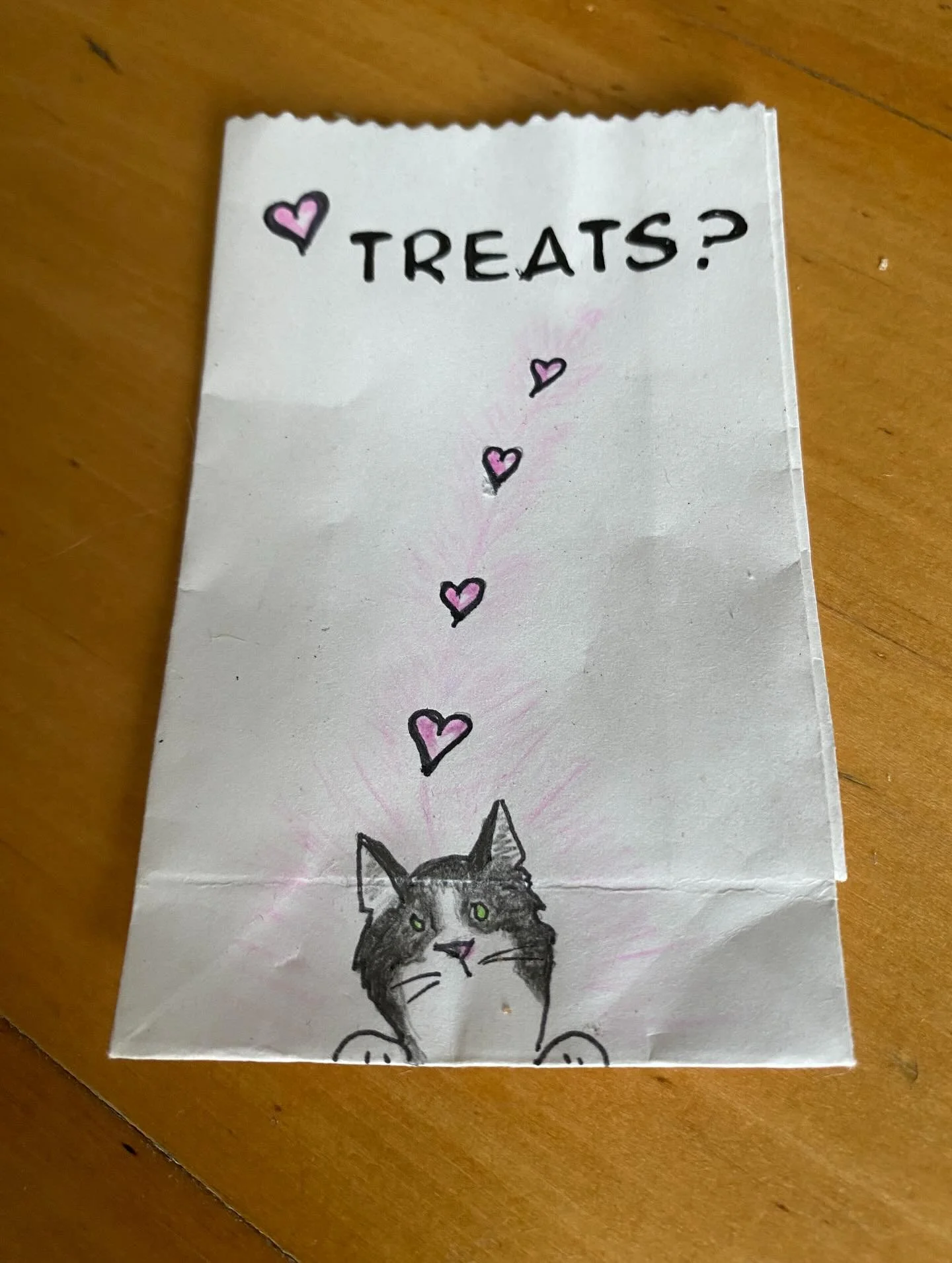 I love when I find that a client kept my little drawing of their kitty 💕#catsitting #hamiltonontario #catwoman #doodle #catportrait #homesweethome #treats