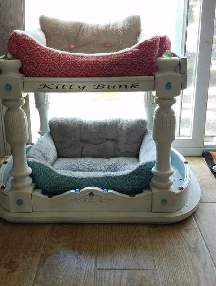 Genius, eh?  #DIY #bunkbeds #kittyfurniture