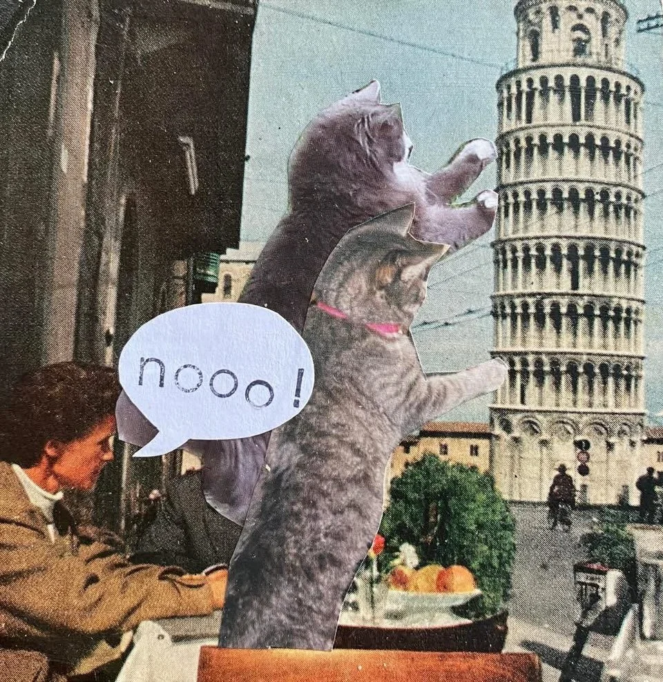 Spring is here and fun-filled days of Summer adventures are fast approaching!  Take it from this lady, plan early and leave Kitty at home when you travel!  You DEFINITELY do NOT want an international incident like this to mar your travels. It would b