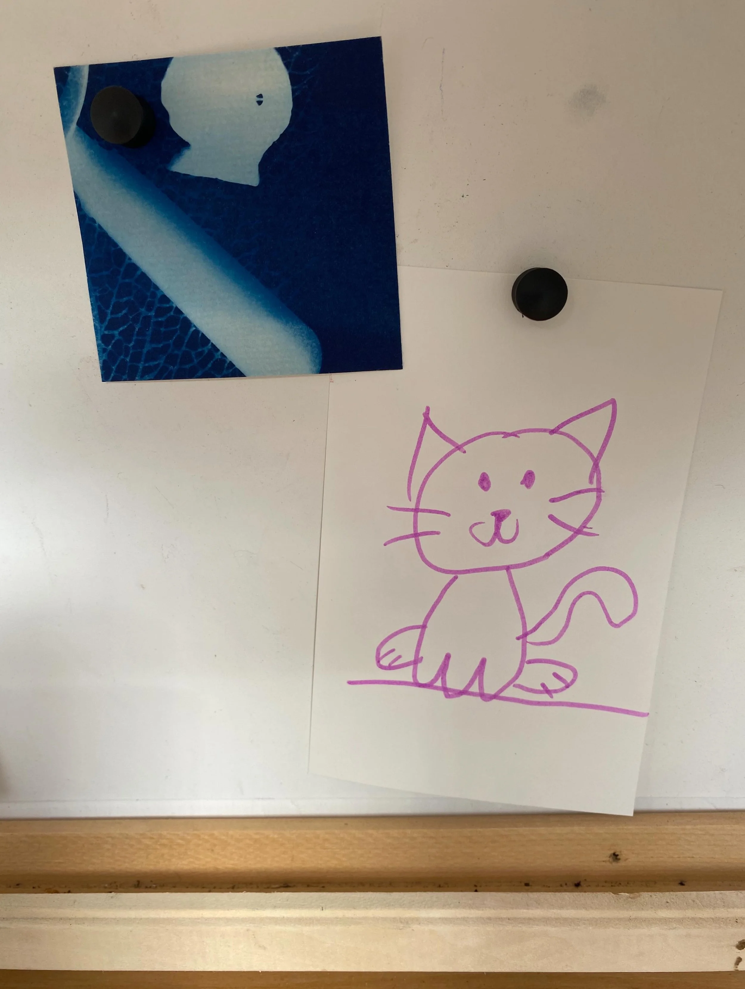 Always fun to pass by my favourite little art gallery on Mapleside when I&rsquo;m in the South West of Hamilton visiting kitty clients!  Today I was rewarded with a cat portrait&hellip;in Cat Woman pink too!! #felinemuse #hamiltonontario #purrrfect!