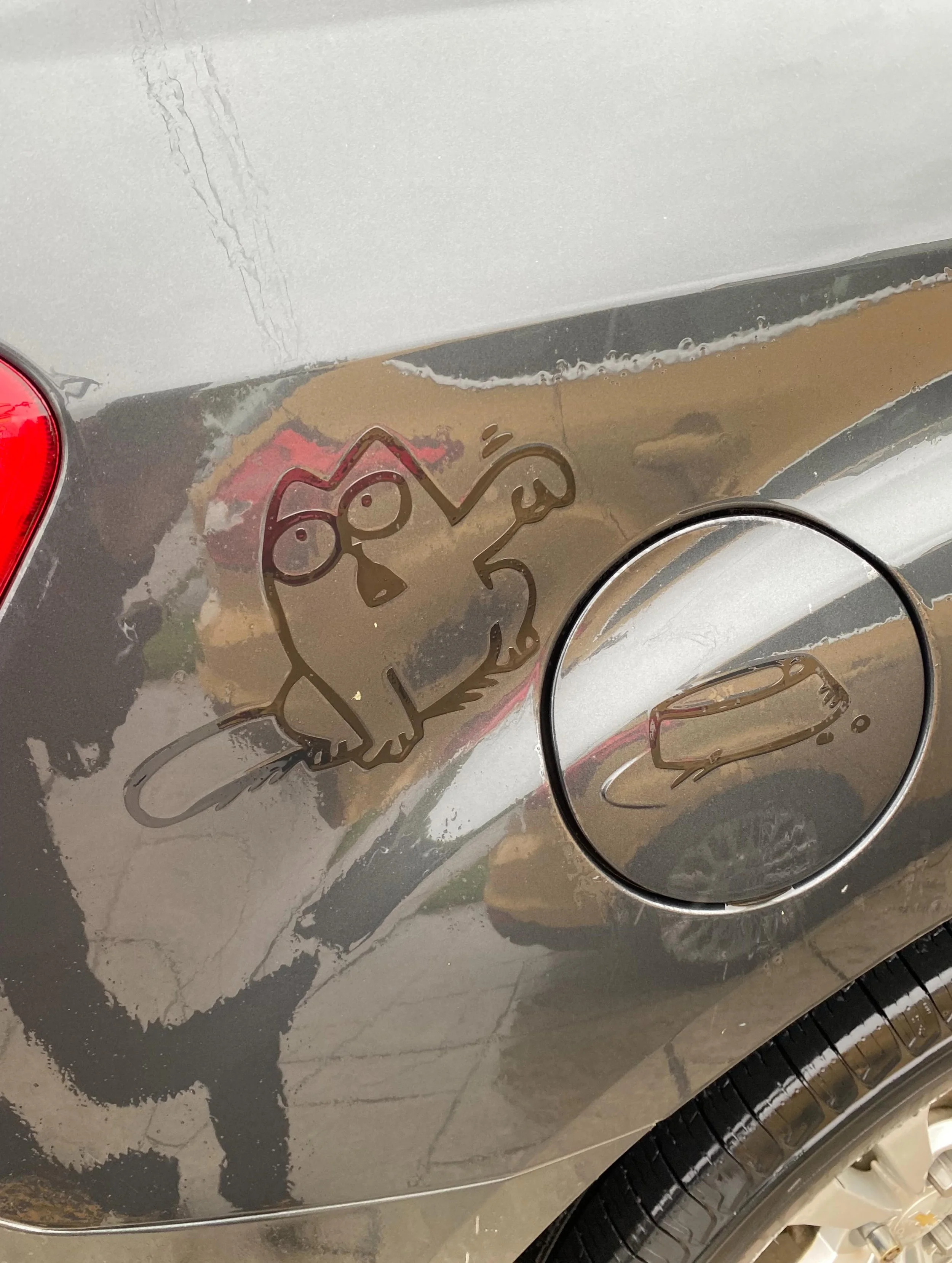Teehee&hellip;.This made me laugh on this grey and rainy day! #carsaysfeedme #simonscat #hamiltonontariofun