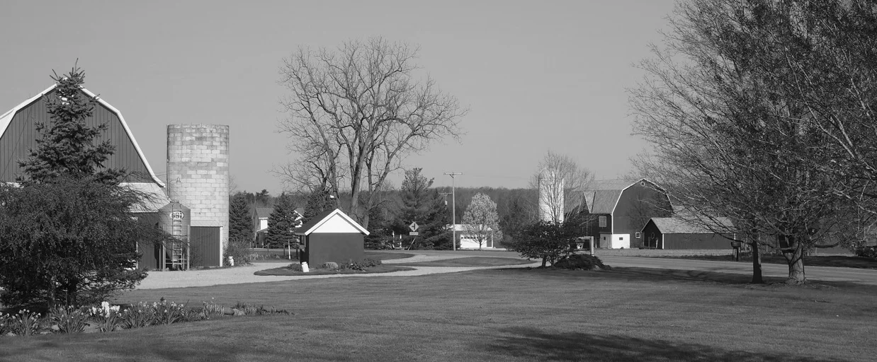 P5030004.jpg