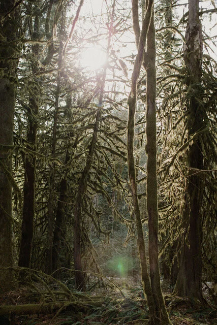 Channeled Message: Unveiling + Uprising