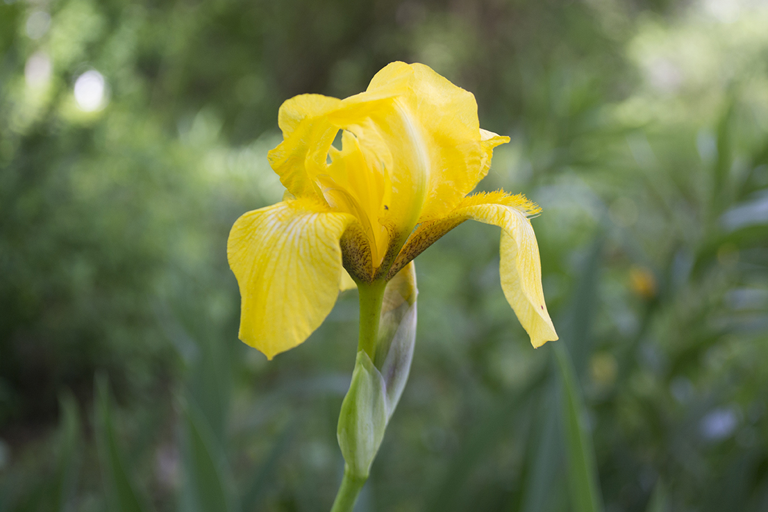 DSC_0590_WEB.jpg