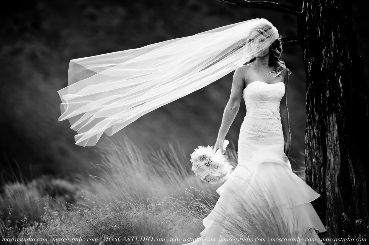 0564-MoscaStudio-Smith-Rock-State-Park-Bend-Wedding-20150620-SOCIALMEDIA.jpg