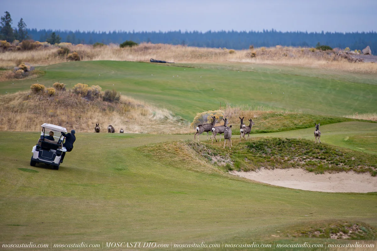 01232-moscastudio-tethrow-lodge-bend-oregon-wedding-20151003-SOCIALMEDIA.jpg