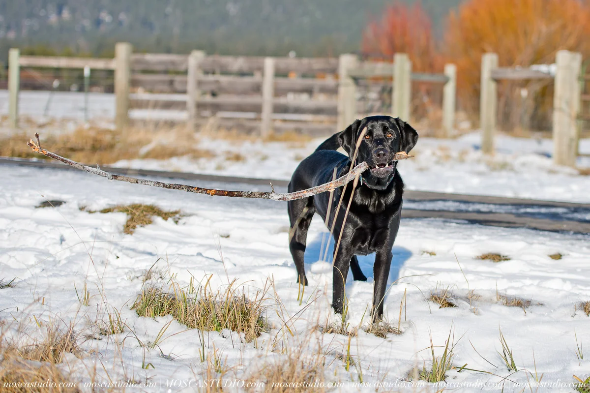 00284-MoscaStudio-black-butte-ranch-winter-engagement-session-20151008-SOCIALMEDIA.jpg