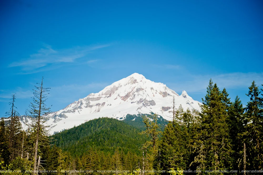 MoscaStudio | Nicole & Allen Engagement Session; Ramona Falls, Mt Hood Oregon