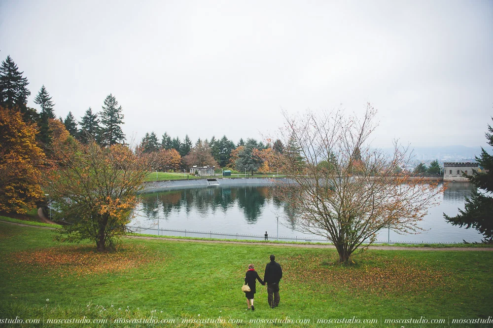 © http://www.moscastudio.com