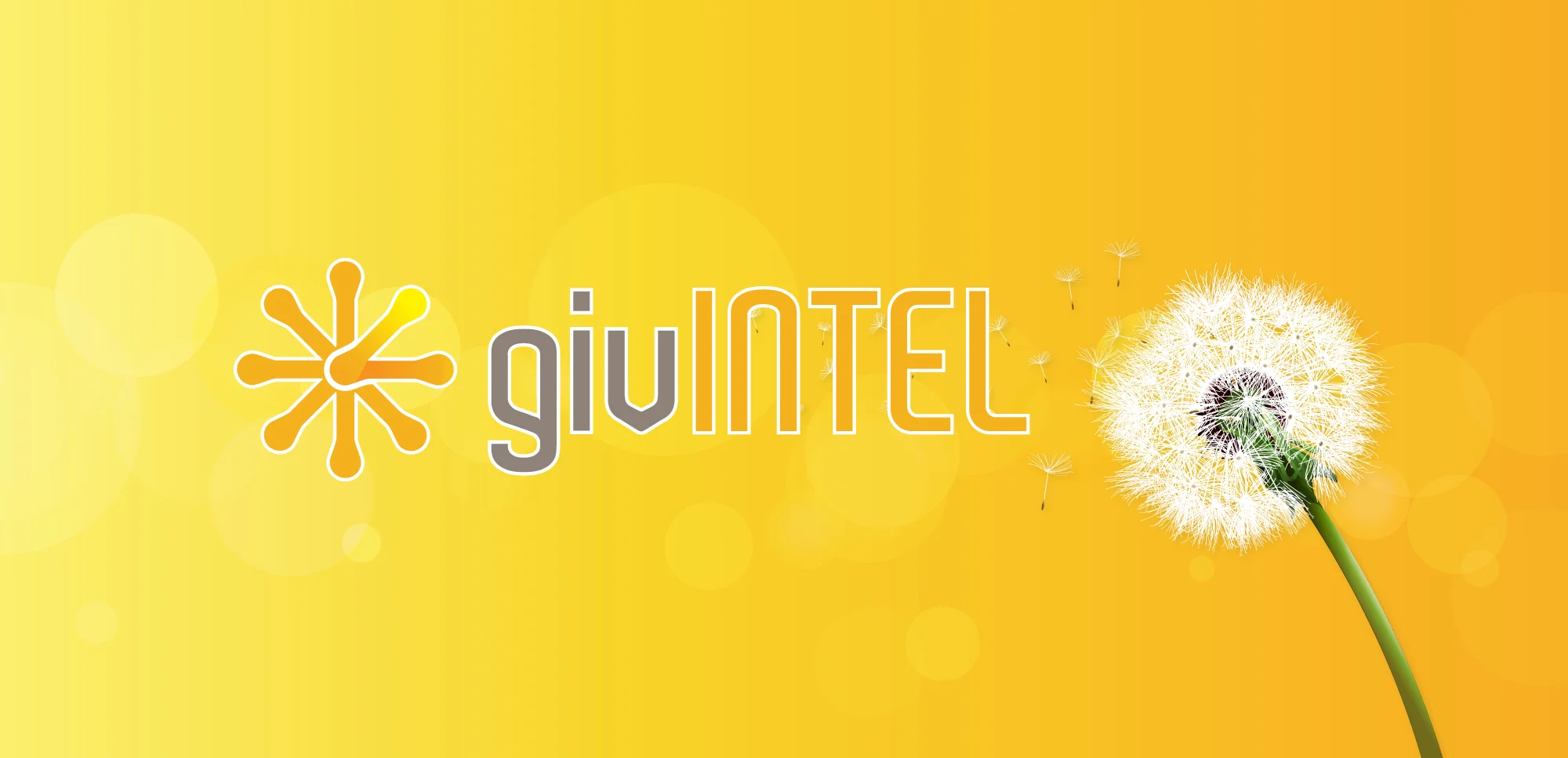 givINTEL.jpg