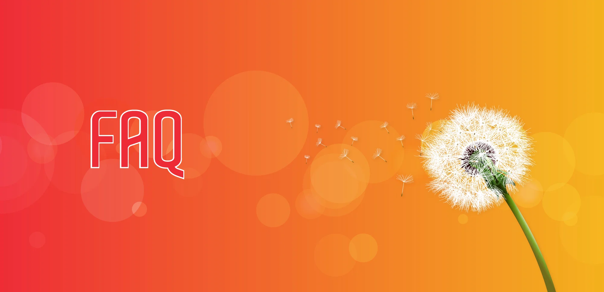 FAQ.jpg