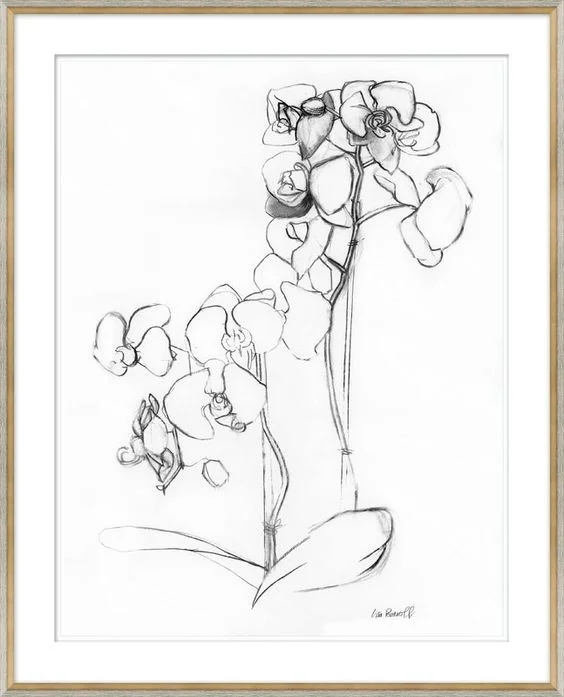 Soicher-Marin ‘Orchid Studies’ Framed Drawing Print, found here