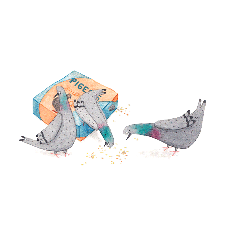 Pigeon-5_MLSEE.png