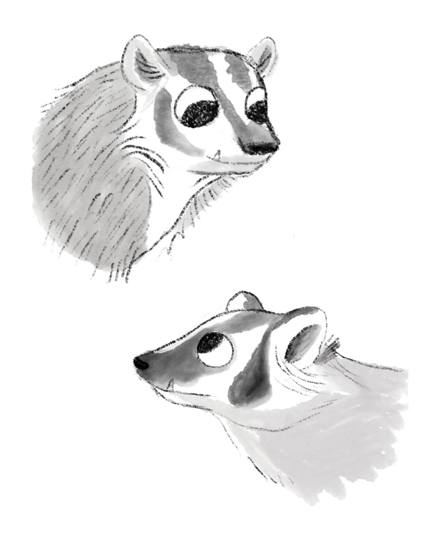 Sketching cute American badgers 🦡 for an illo coming out soon 
🧡🍂🍁🪵🌲🔥🦉⛺️🐿️

@luddingtoncreative #luddingtoncreative 
#illustration #kidslit #childrenbookstagram #childrenbookart #campfire #camping #forest #autumnmood #illustratorforhire #kid