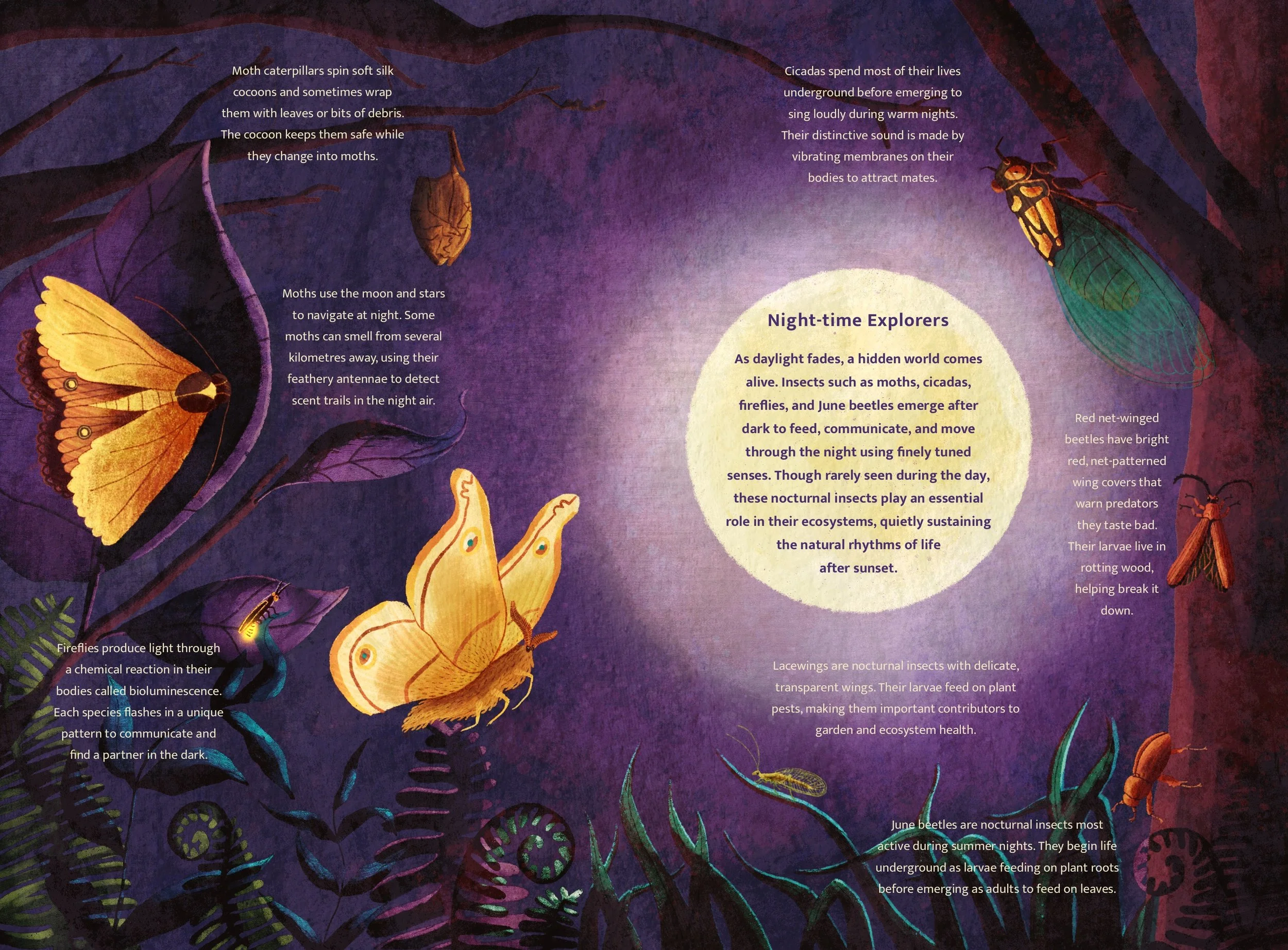 Night crawlies spread text.jpg