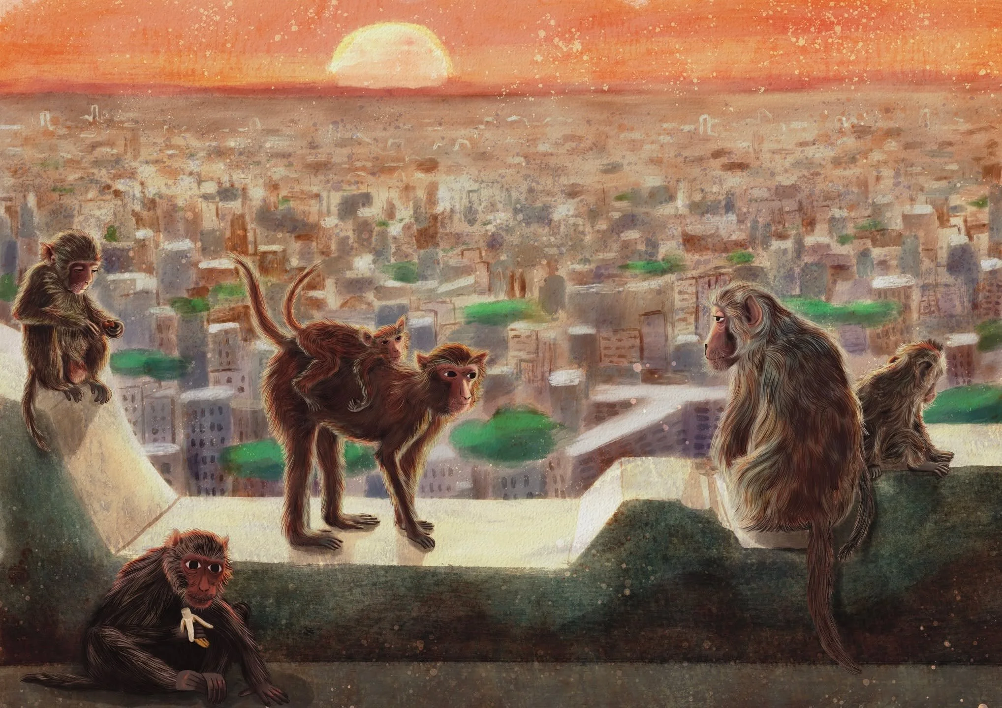 City views&hellip; but make it monkey 🐒

Did you know? 
In Lopburi, Thailand, macaques have turned rooftops and streets into their own playground&mdash;bold, clever, and always on the lookout for snacks.

Mischief or survival?

@luddingtoncreative #