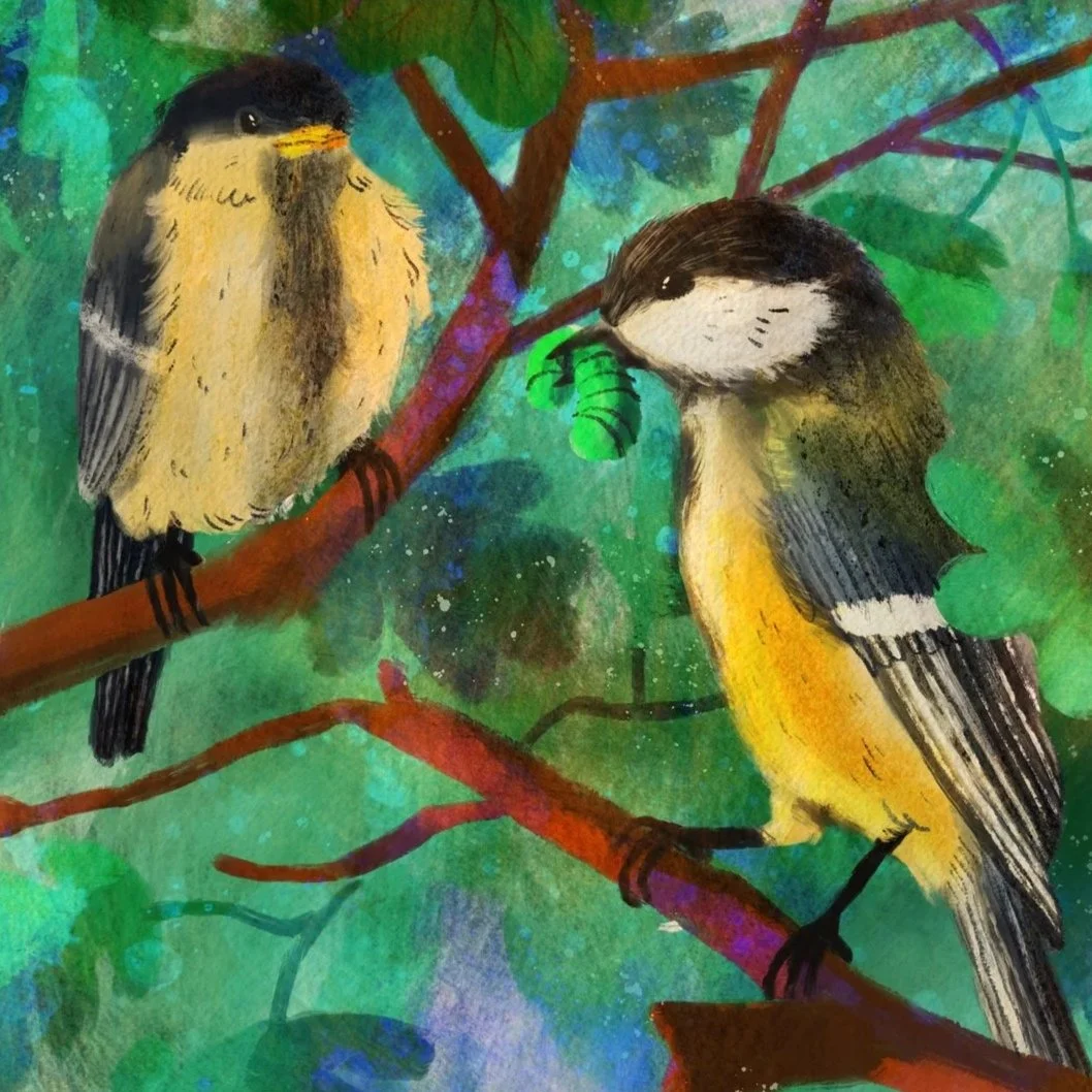 Great_Tit_Feeding_Youngs.jpg