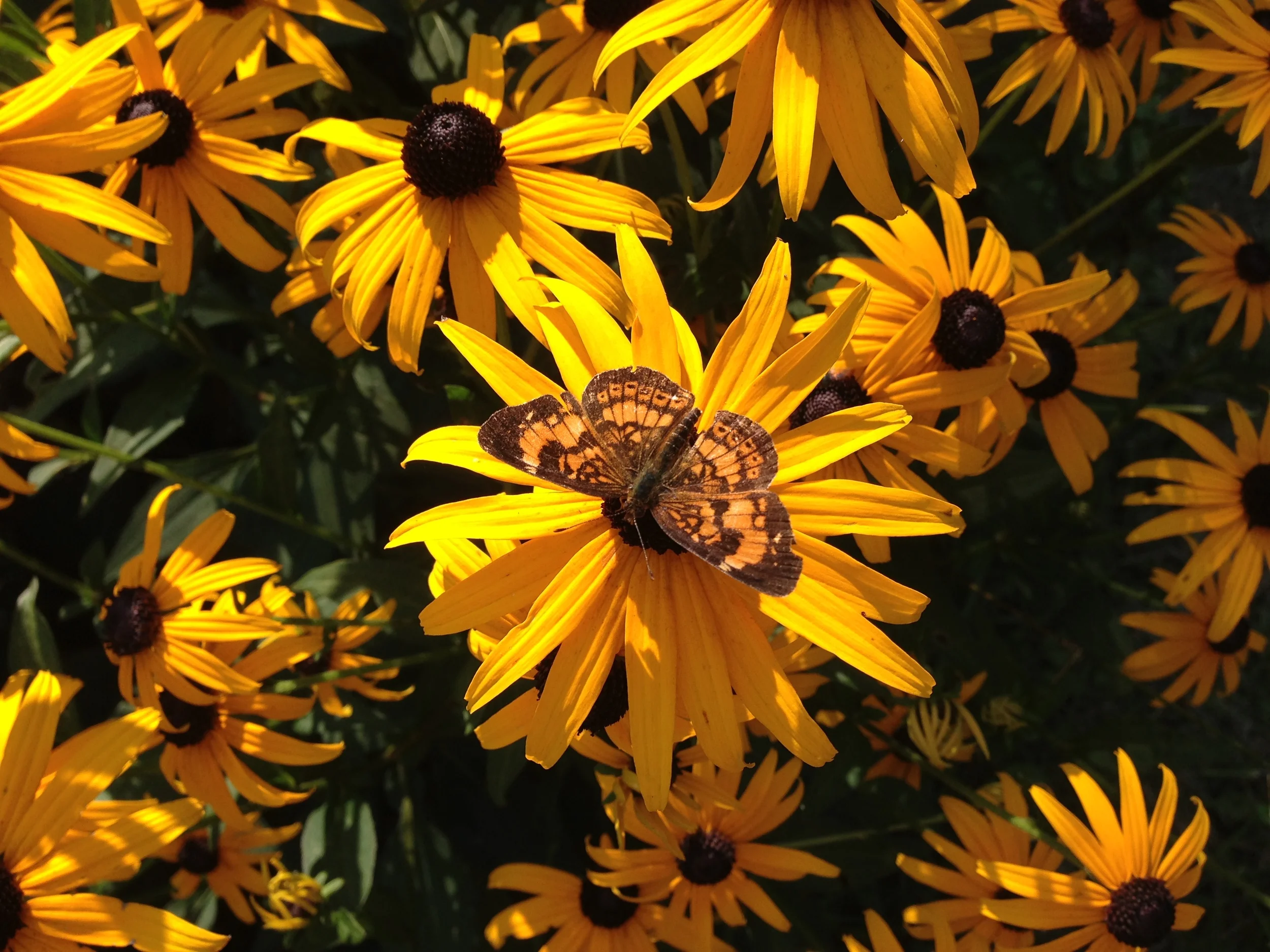 More Glorious Fun with Handmade Paper from Nepal!