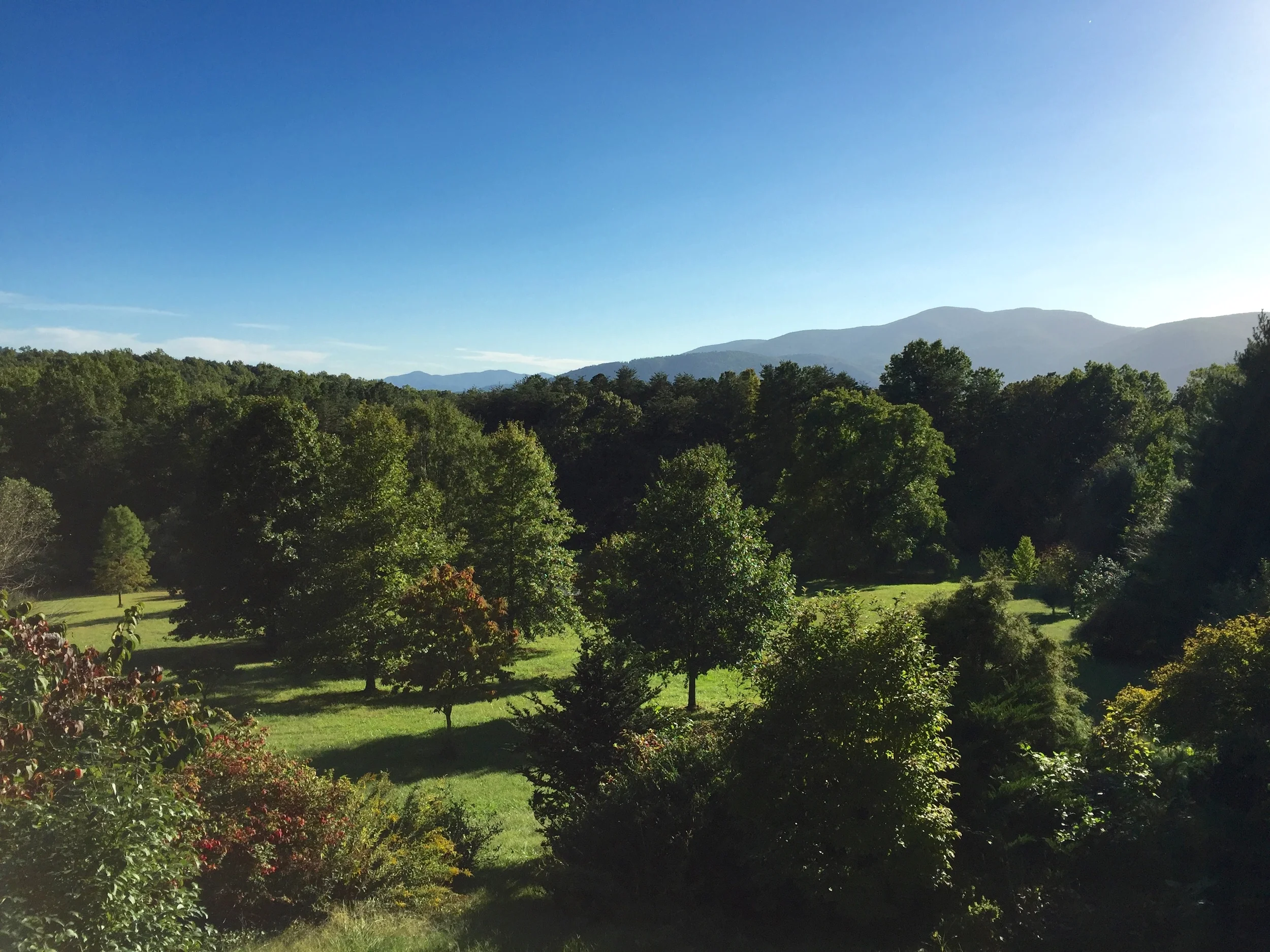 Autumn News from St Brigid Press