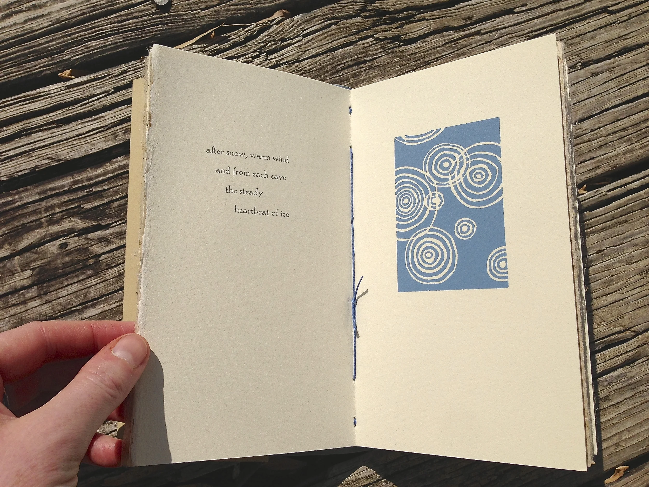 IMG_4773.jpg