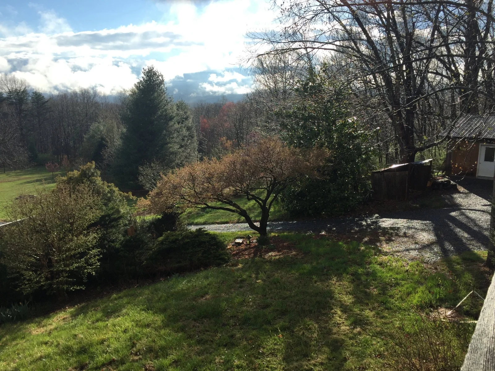 Printing with Nature