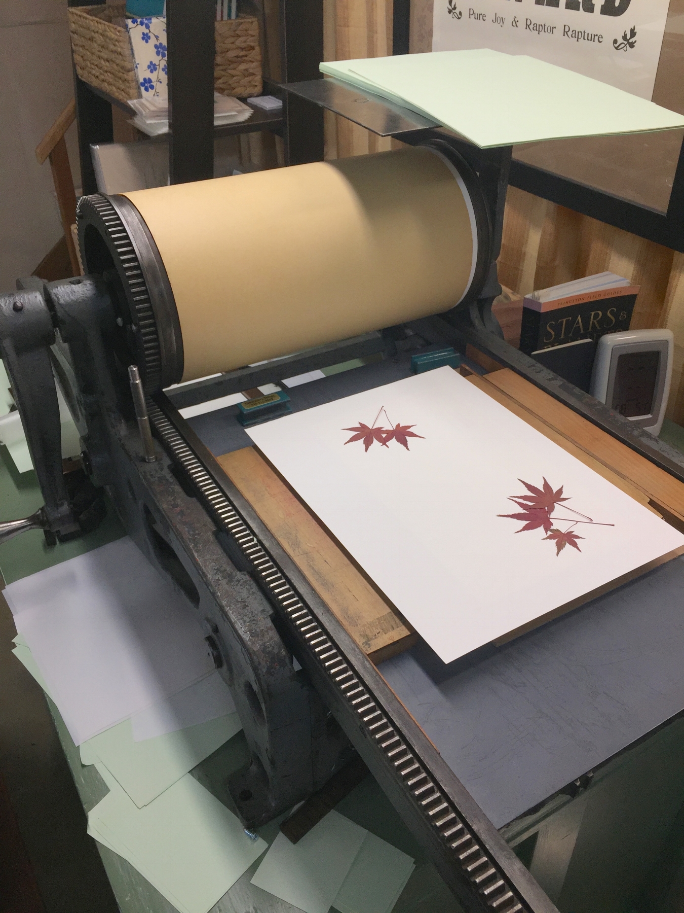 This is my very first printing press, a Poco "0" made in Chicago around 1910 and designed to proof newspaper texts and images. It's a perfect little press for nature printing. When I had the leaves where I wanted on the book page, I placed an over s