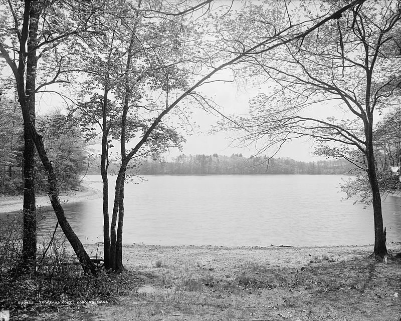 Walden Pond in 1908, Thoreau's Cove.jpg