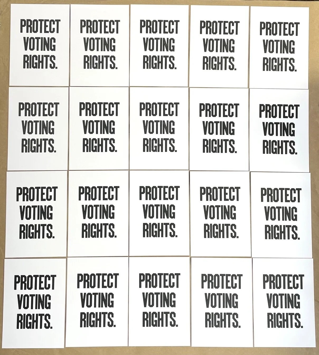 Protect Voting Rights