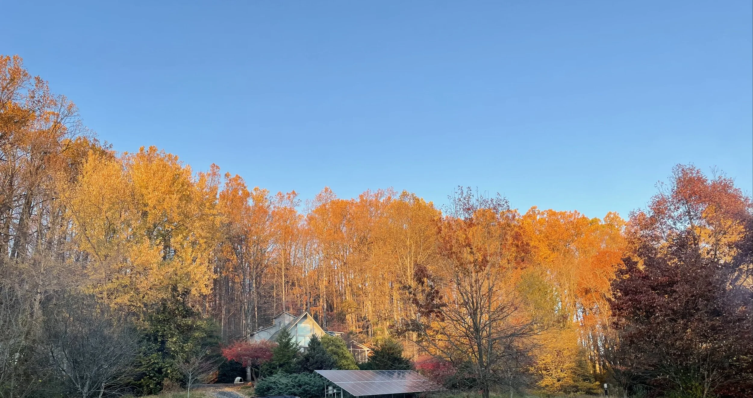 Even Here, Even Now ~ by Emily Hancock