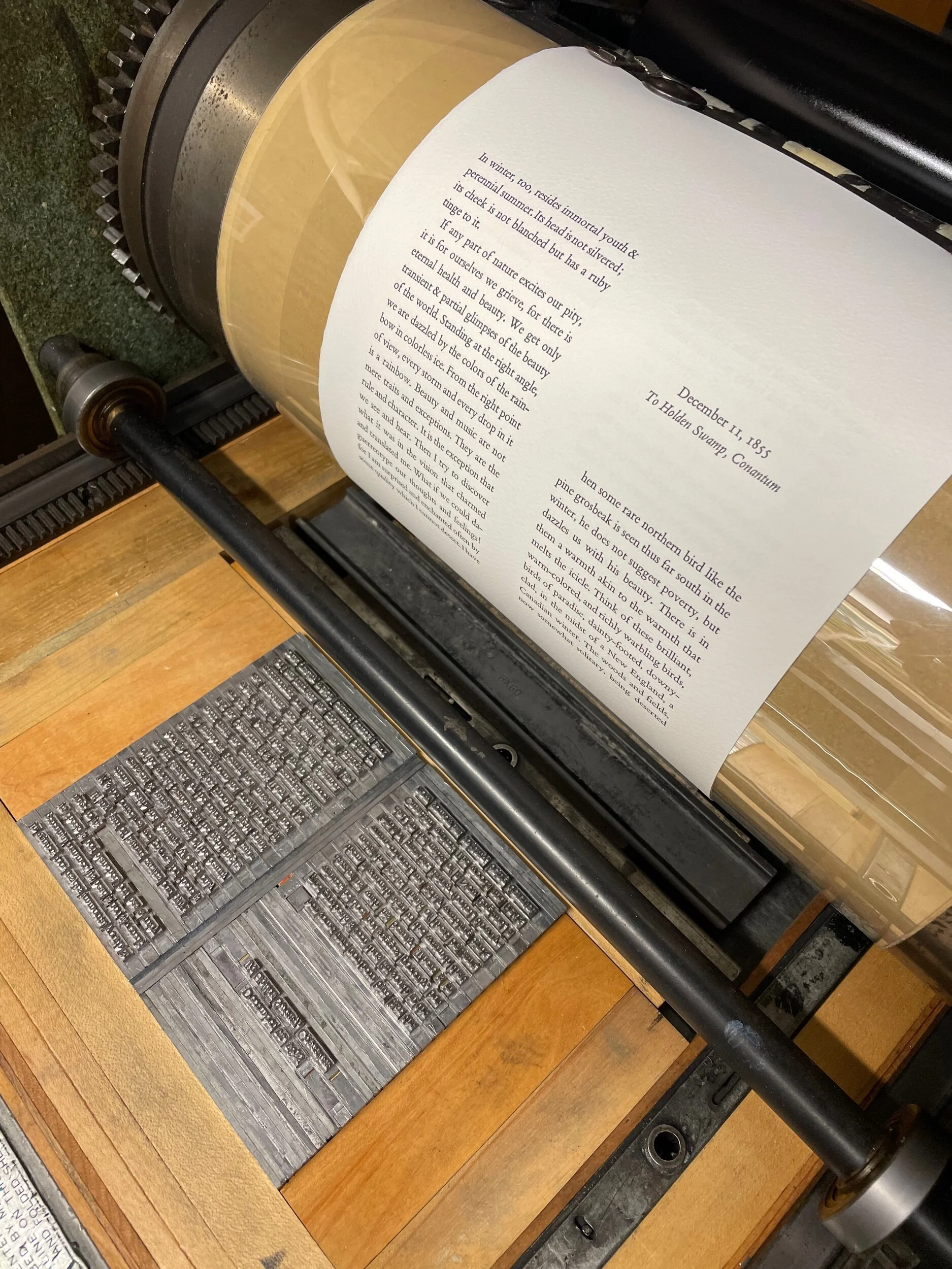 EFCC473C-8788-4E4B-B135-4DFA2CF2E65C