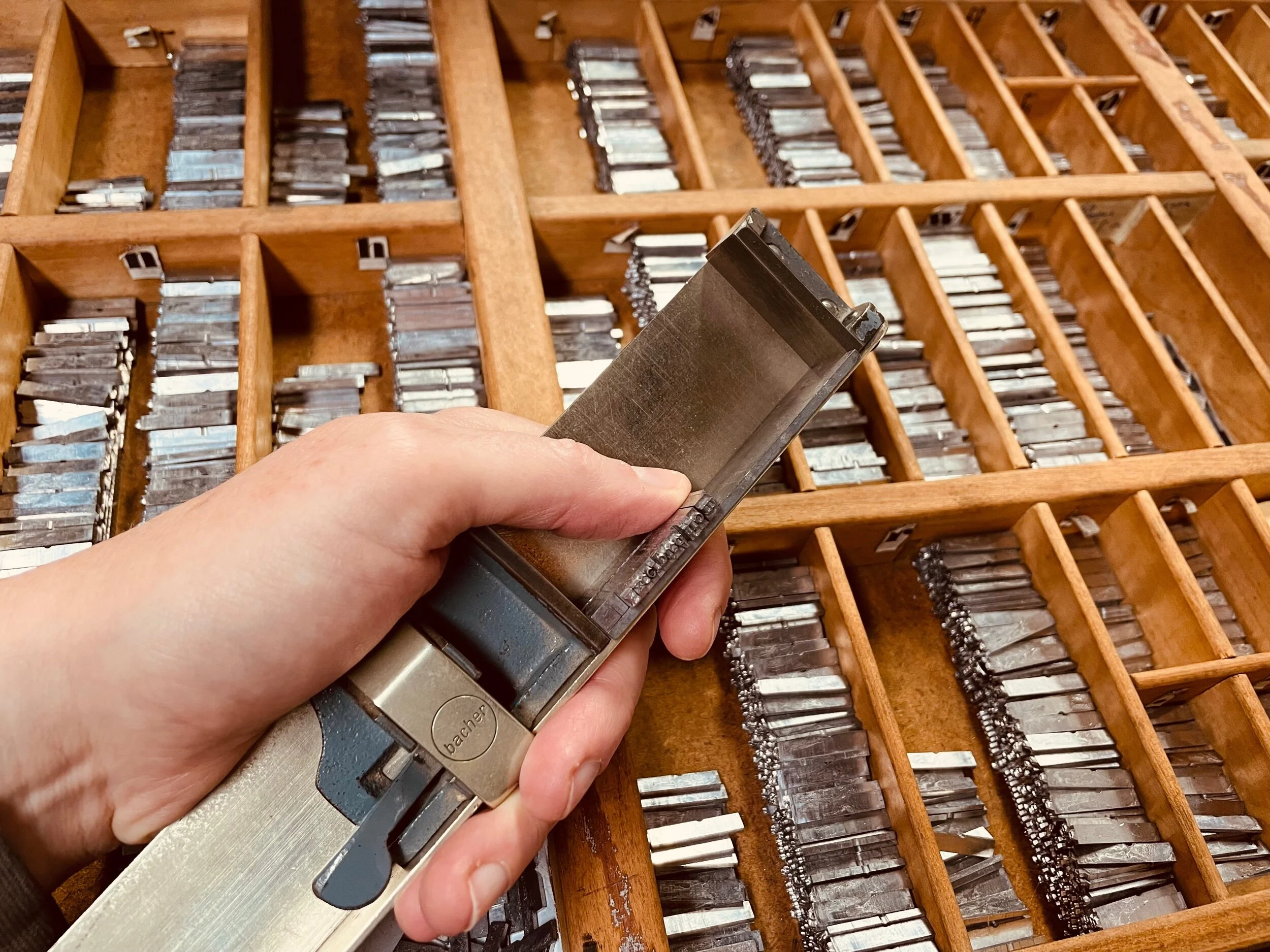 09F1CA8D-B671-48E4-8590-10805455299D