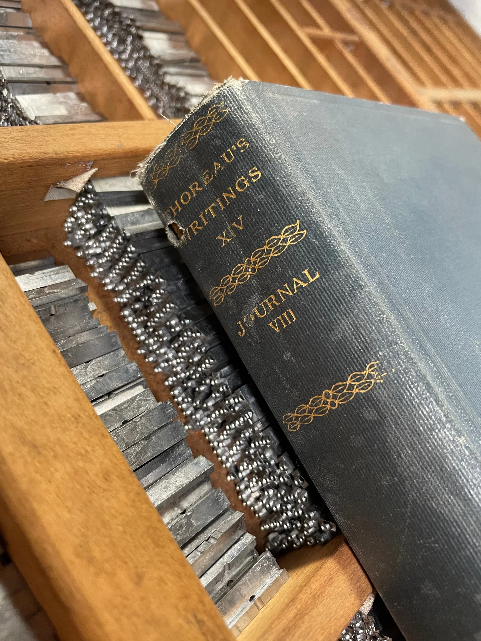 F9FE84D9-70D4-4CE5-A821-A839B625DD7F