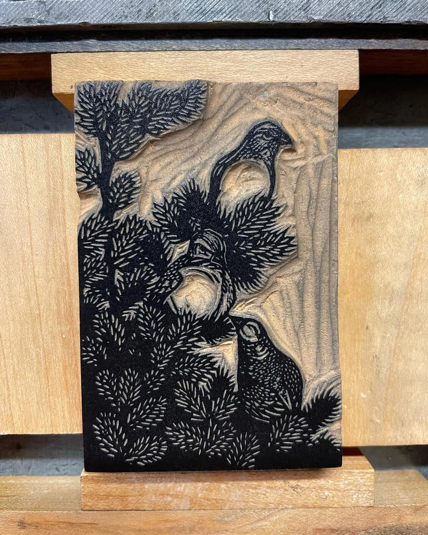 AAAFE8CB-3429-48C0-8710-D7E45E2A203F