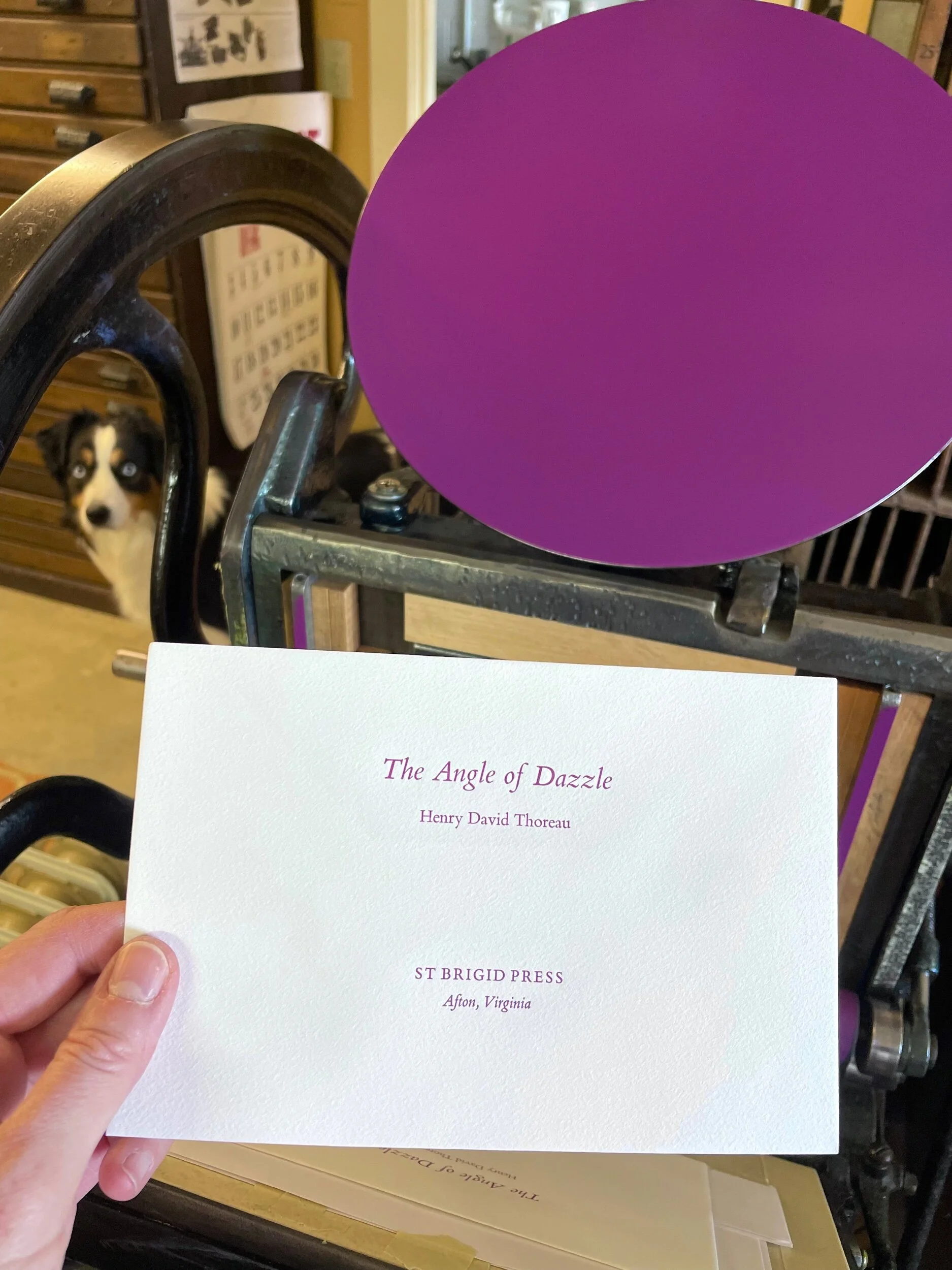 BD7E9D8F-9CFE-4E26-9968-D3FF91BD2350