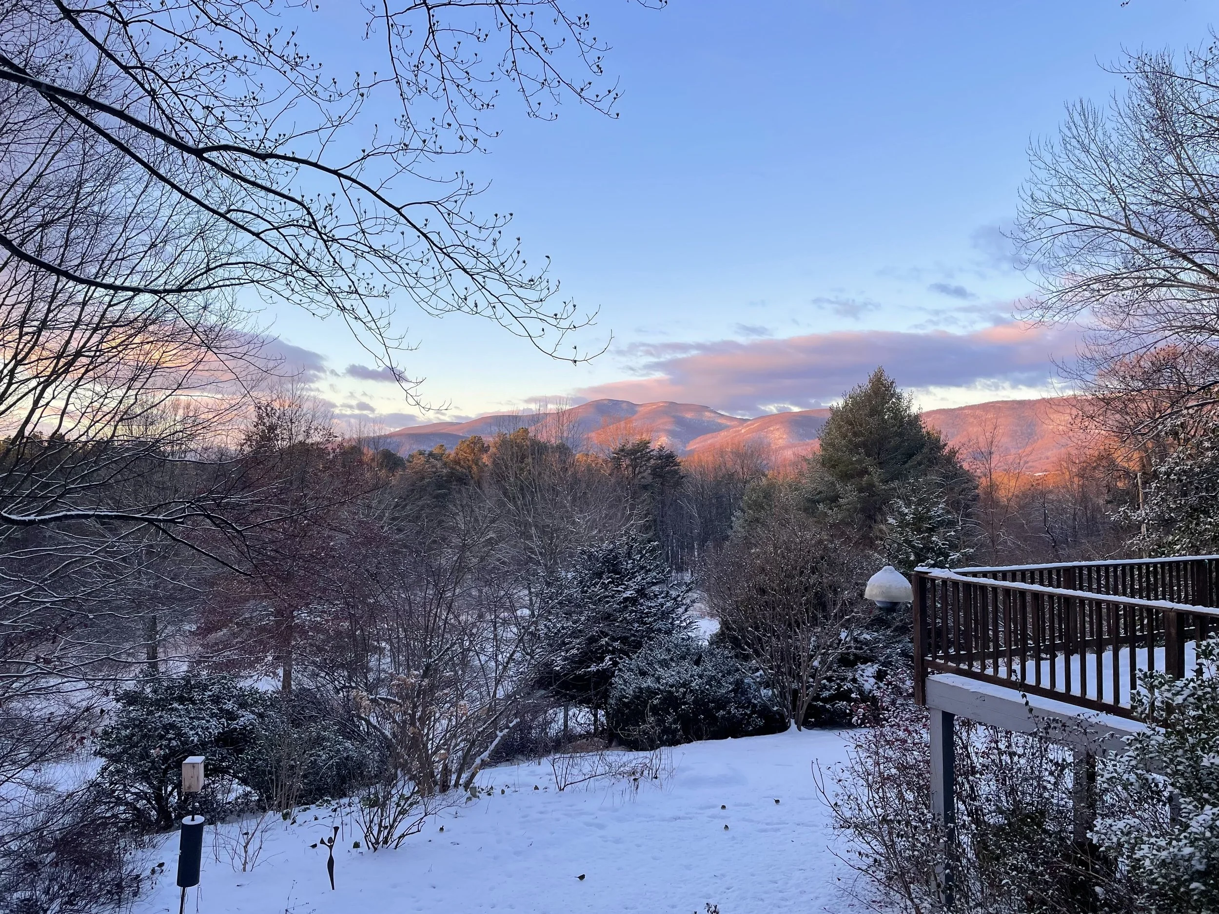 Winter Bird & Berries