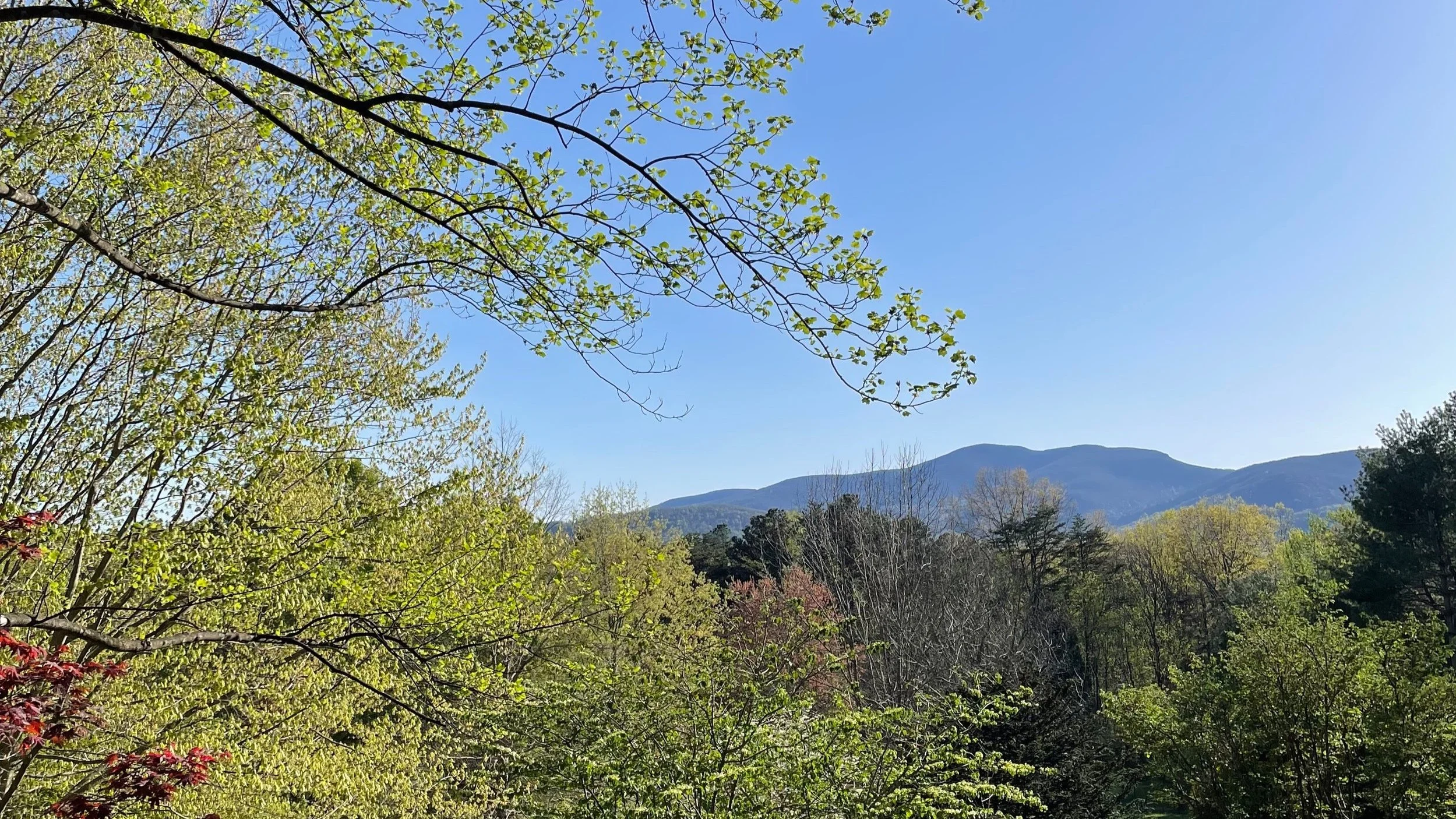 HIKE Virginia! Postcards