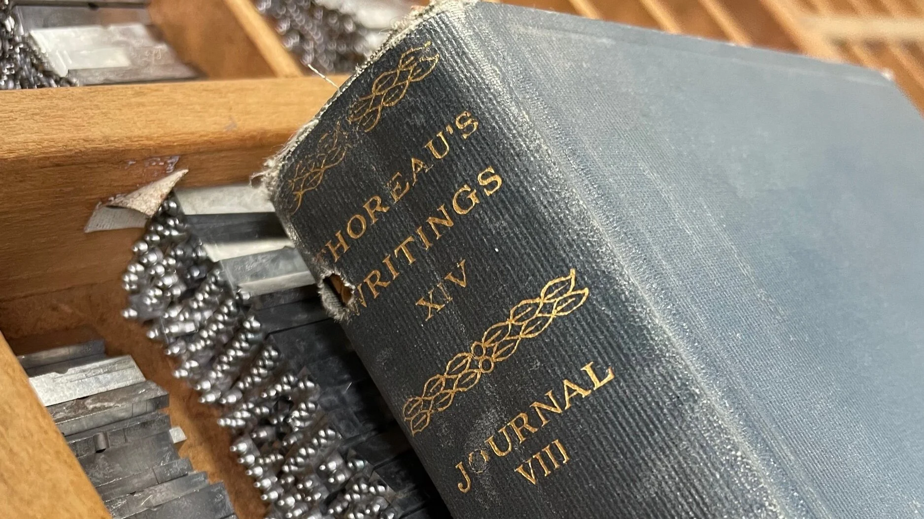 Thoreau Bookmark Trio