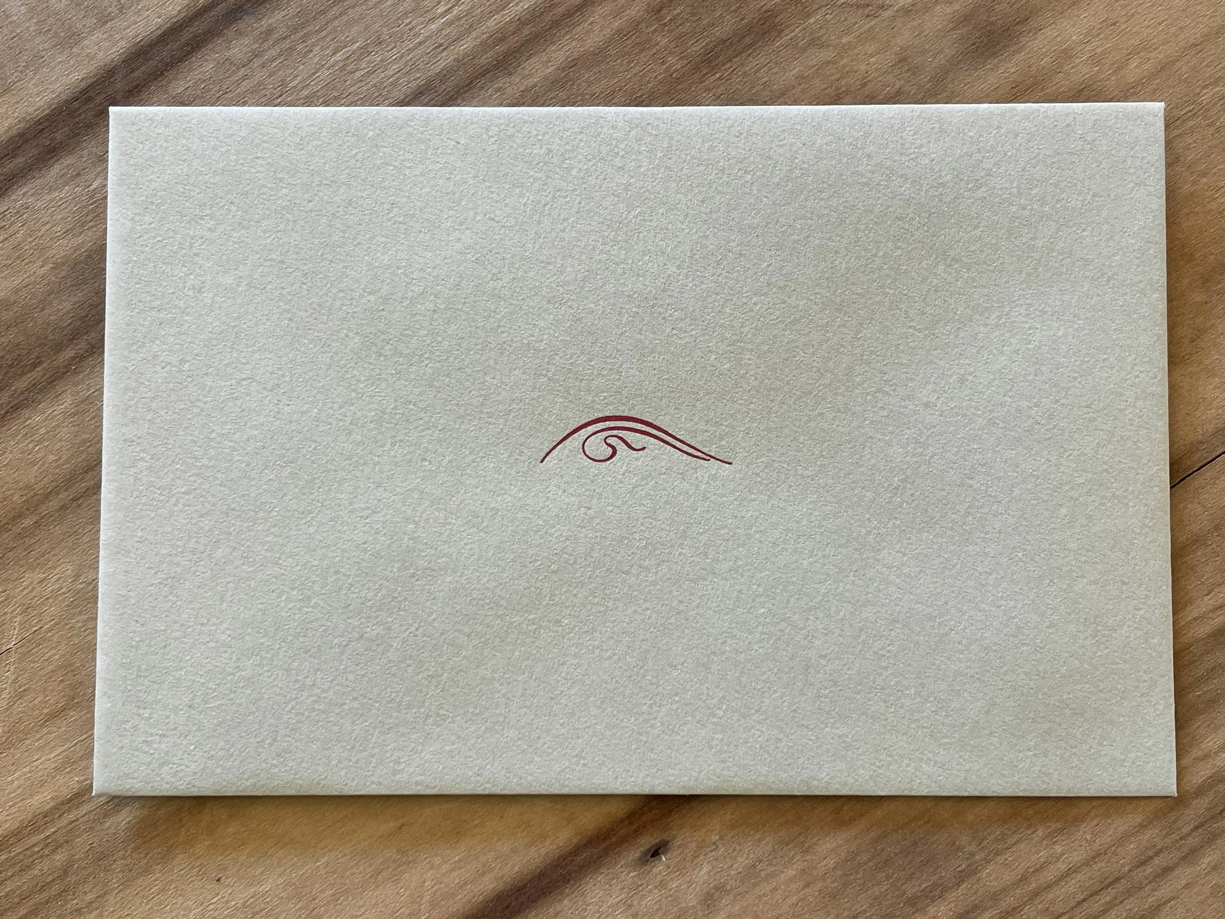 Manual for Seers by Michael Trocchia