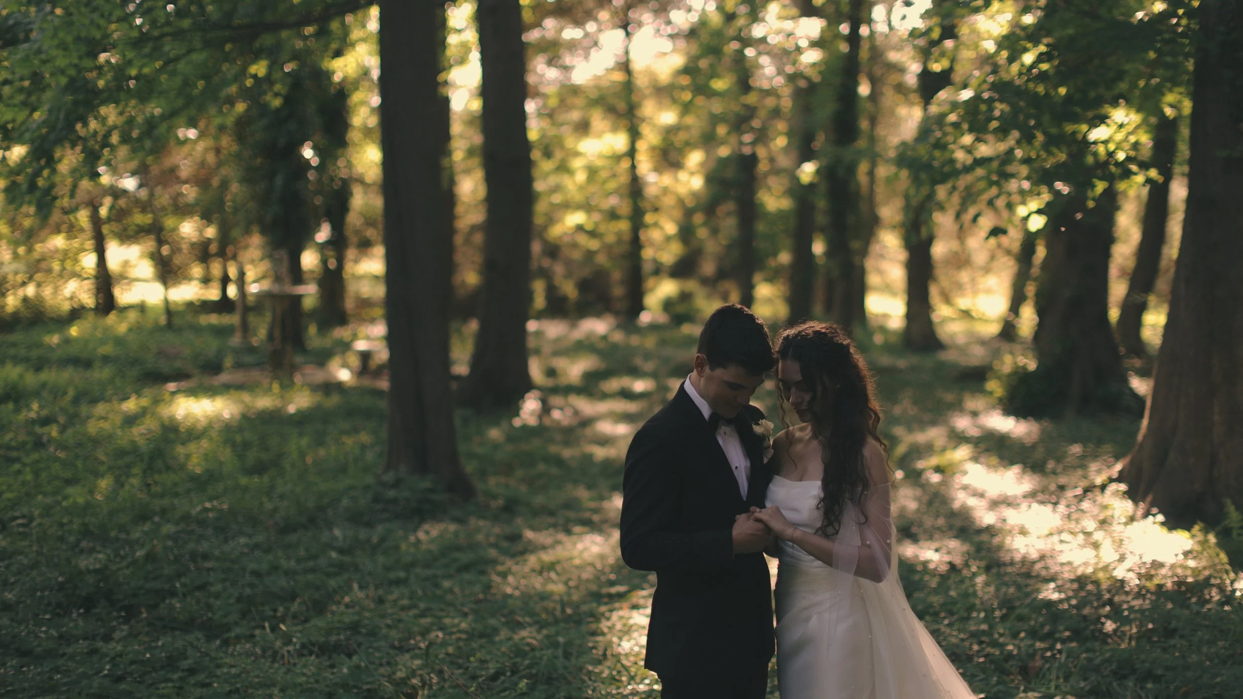 Sequence 01.00_04_55_12.Still003.jpg