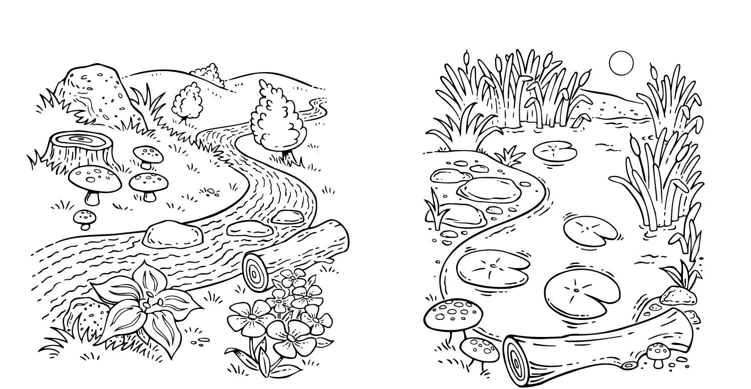 "Funtastic Frogs" series of K-2nd grade workbooks by Instructional Fair Publishing