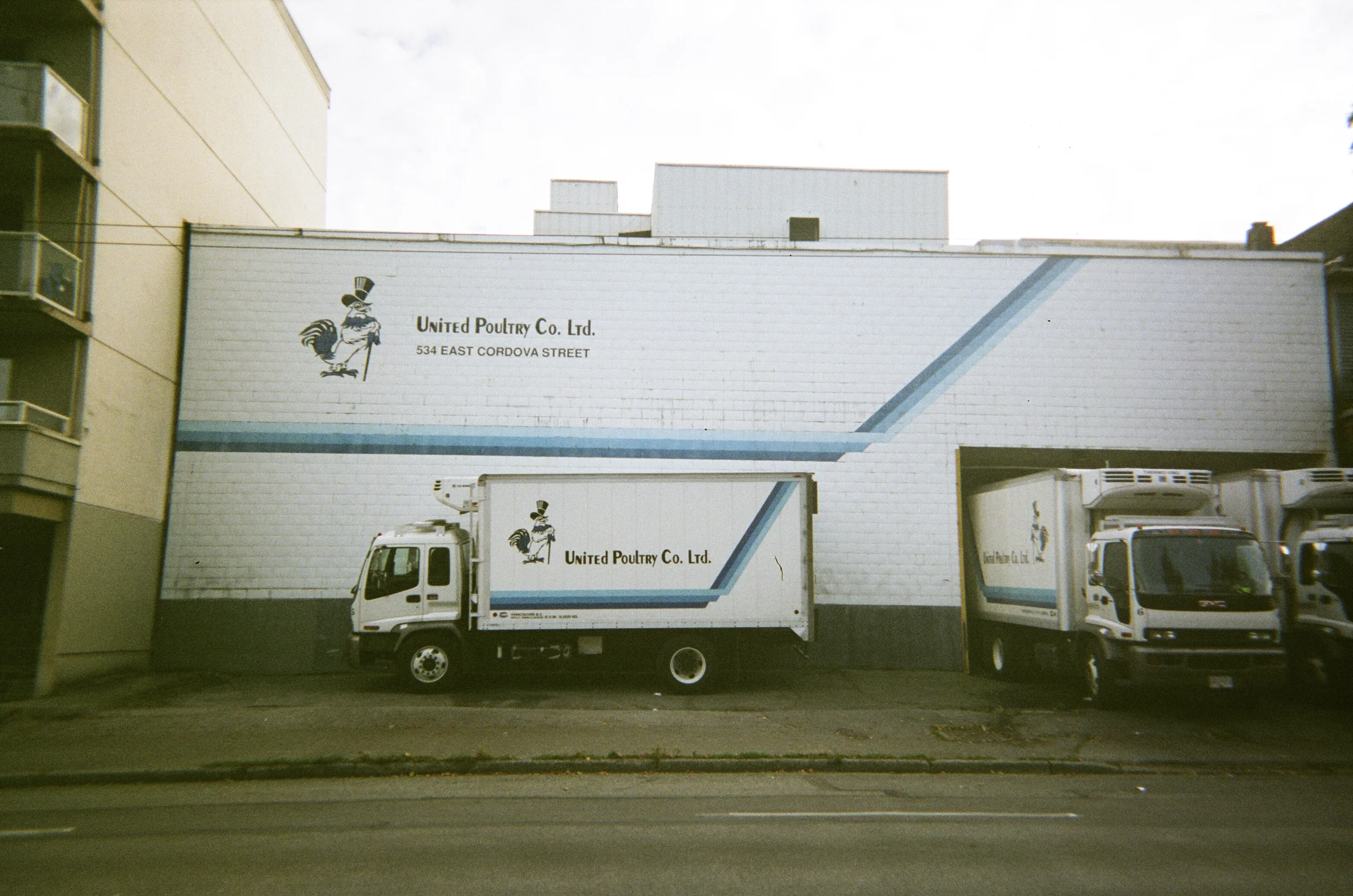 static1.squarespace-15.jpg