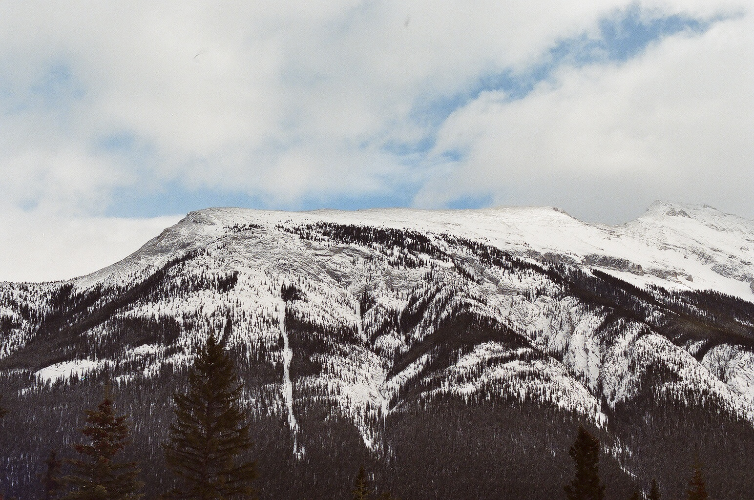 A04230001.jpg