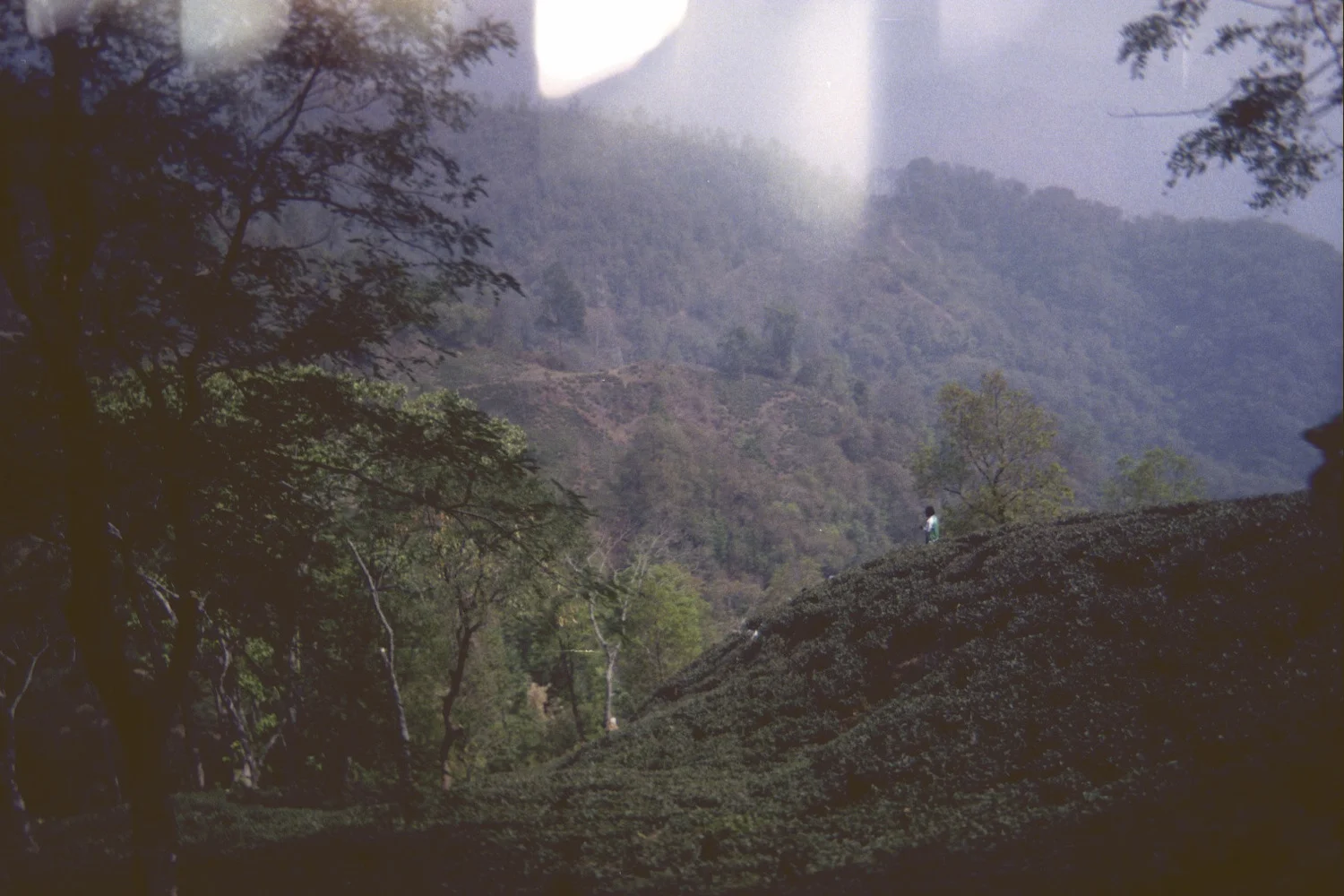 A_003_nr.jpg