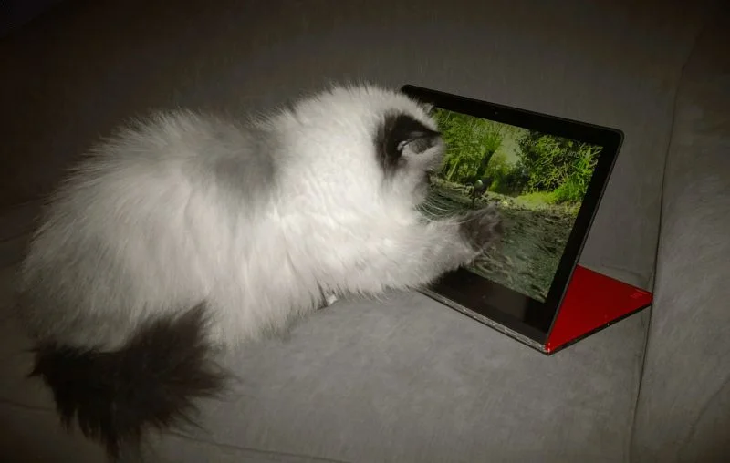  13.3" QHD touchscreen (3200 x 1800 resolution)