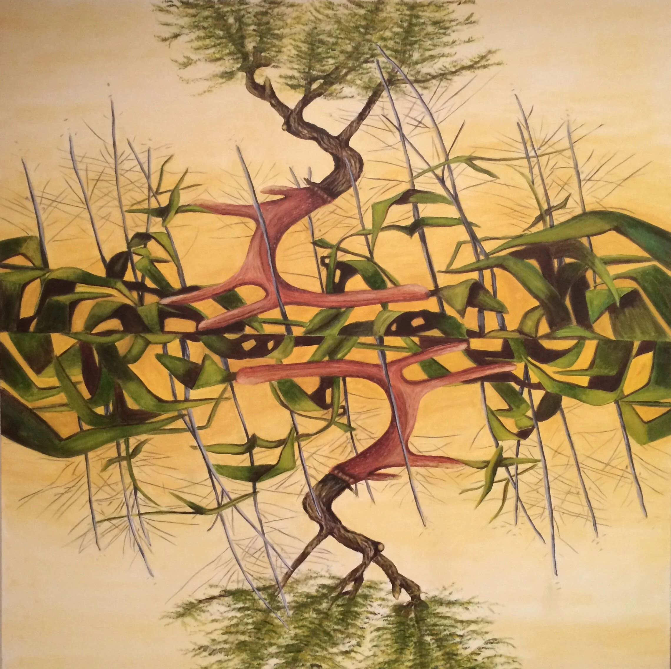 "Adaptation," 2013, 48 x 48, oil on canvas