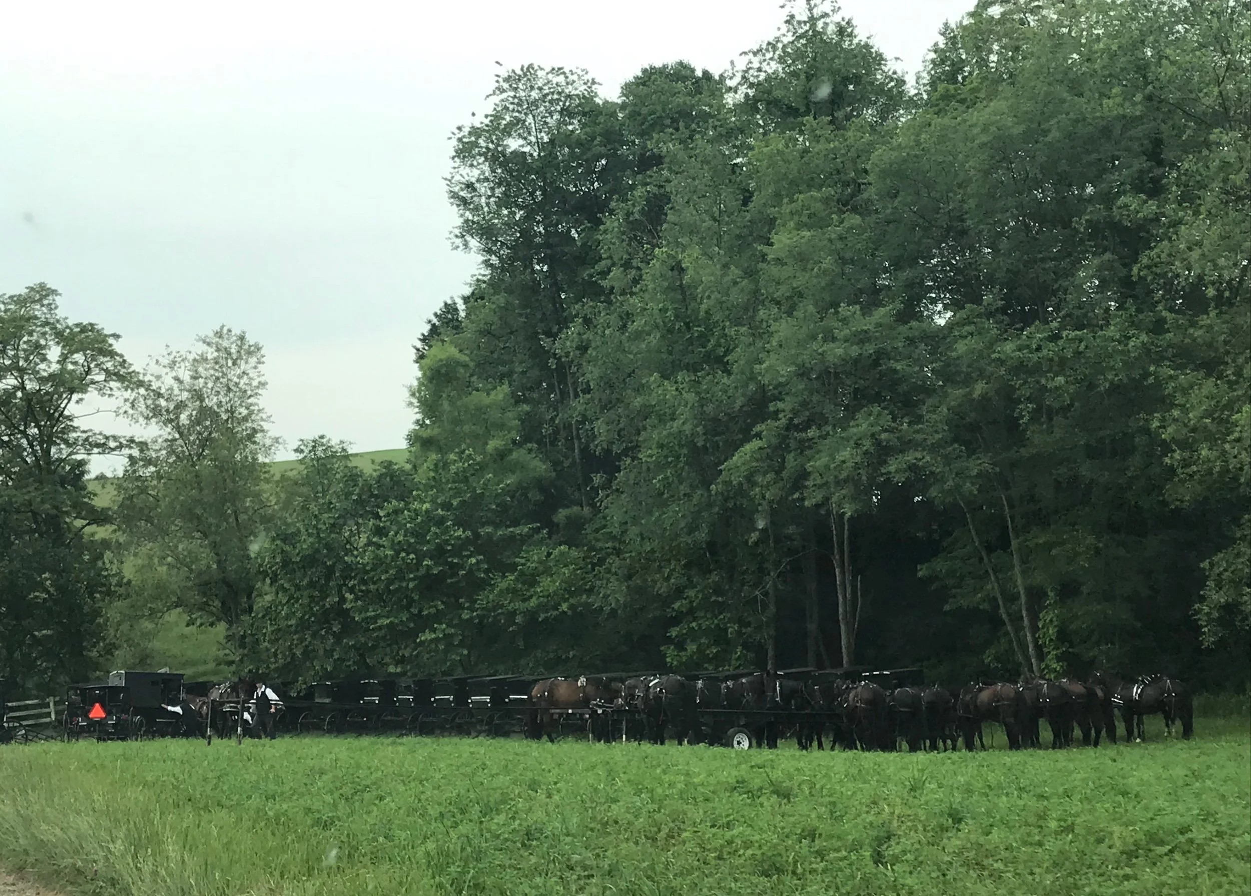 An Amish Funeral Domestic Goddess