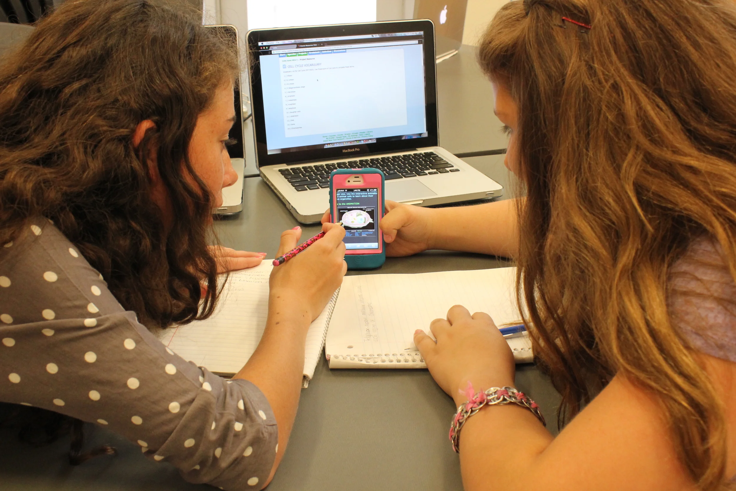   Goal setting, team contracts, and task logs are three core strategies used to facilitate collaboration during project-based learning. &nbsp;In this one-day workshop, participants experience using these strategies, and walk away with multiple tools 