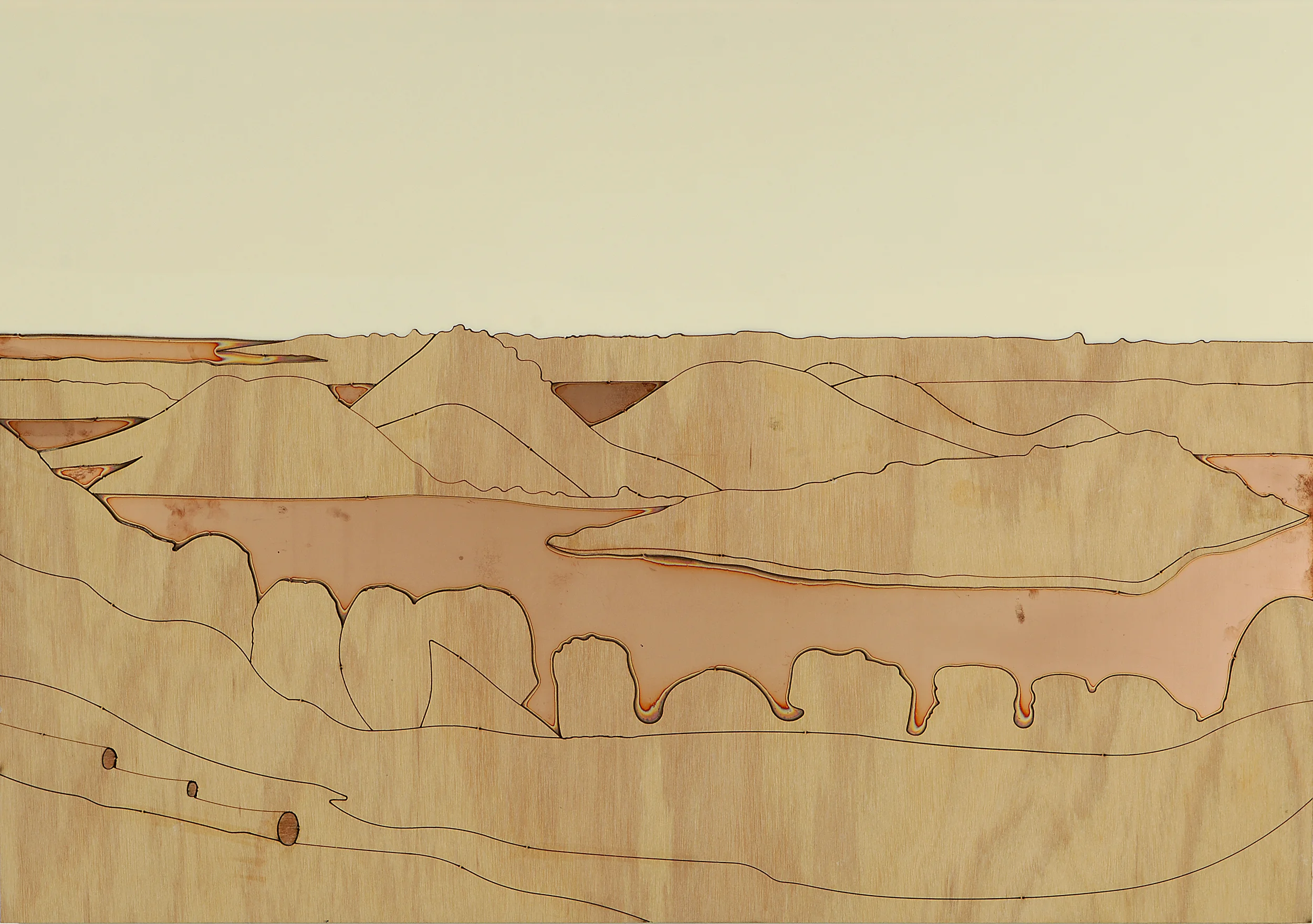 Towerhill (v), 2008 Acrylic, oil and enamel on linen 50 x 80cm