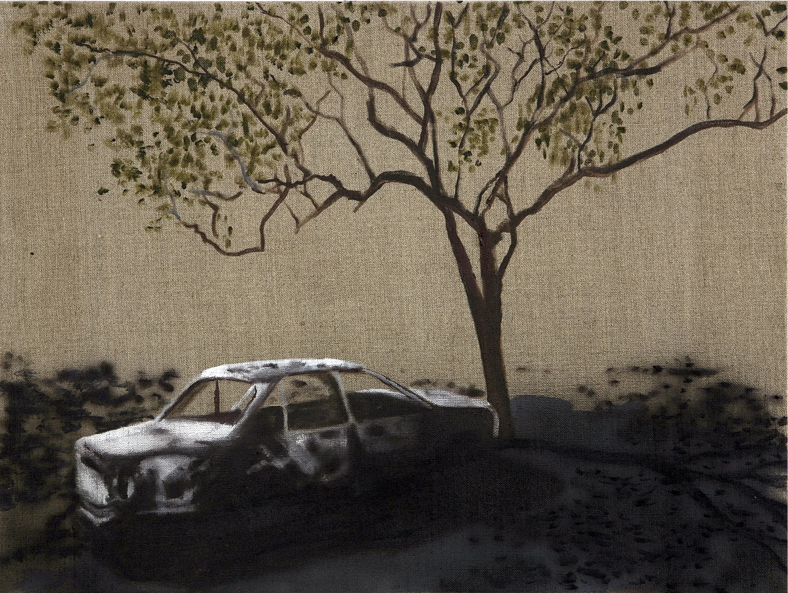 Whitegoods (i), 2009 Acrylic, oil and enamel on linen 50 x 80cm